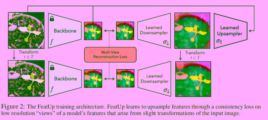 FeatUp Training Architecture